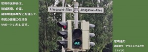 (R6.7)ama-allee-03